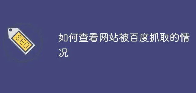 蜘蛛抓取頁面沒有記錄痕跡怎么回事？